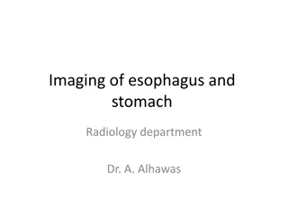 Radiology Imaging of Esophagus and Stomach by Dr. A. Alhawas