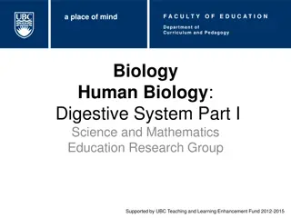 The Human Digestive System: Physical and Chemical Processes Explored