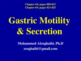 Gastric Motility and Secretion in the Stomach: Functions and Division Overview