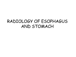 Overview of Esophagus and Stomach Imaging Techniques