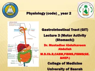 Gastric Motility and Function in the Gastrointestinal Tract