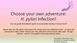 Guiding H. pylori Infection: A Choose Your Own Adventure Journey