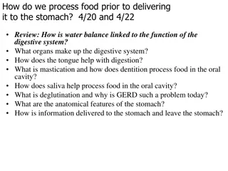 Understanding Water Balance and Digestive System Function