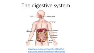 The Digestive System and Its Processes