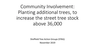 Community Involvement in Increasing Street Tree Stock