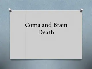 Coma, Brain Death, and the Examination Process