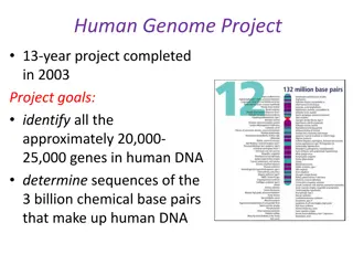 Understanding Genetic Disorders and the Human Genome Project