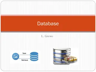 Database Management Systems and Data Storage