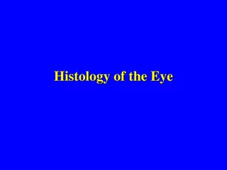 Histology of the Eye: Structure and Function Overview