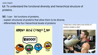 Understanding Protein Structure and Function Diversity