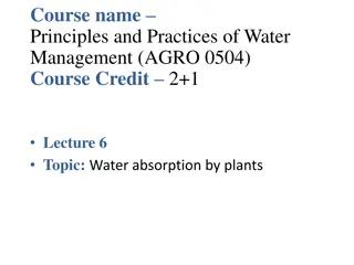 Water Absorption by Plants: Mechanisms and Adaptation Strategies