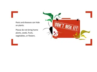 Beware of Pests and Diseases on Plants - Protect Your Home Garden