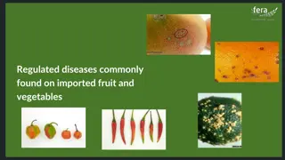 Common Regulated Diseases in Imported Fruit and Vegetables