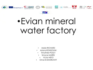 Inside Evian Water Factory: Production and Composition Revealed