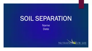 Exploring Soil Separation and Organic Material in Plant Growth