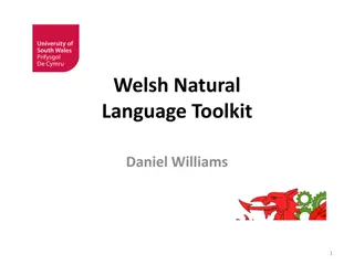 Welsh Natural Language Toolkit Overview