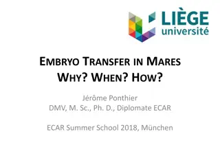 Embryo Transfer in Mares: Why, When, and How