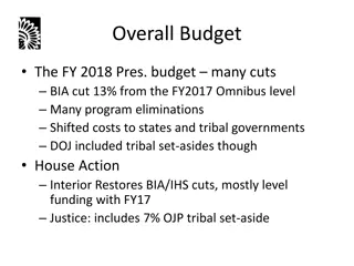 Challenges and Recommendations for FY 2018 Budget Allocation