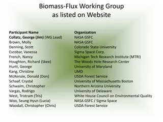 Biomass-Flux Working Group Overview