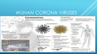 The History and Epidemic Potential of Coronaviruses