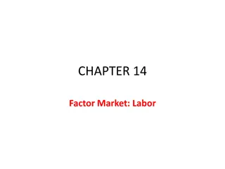 Competitive Factor Market in Labor Economics