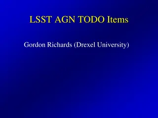 LSST AGN Research Overview