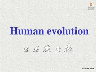 Human Evolution: A Journey Through Time