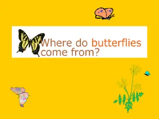 Animal Growth and Development: From Baby Animals to Butterflies