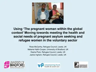 Supporting Pregnant Asylum-Seeking and Refugee Women in the Voluntary Sector: A Holistic Approach