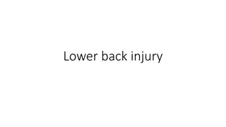 Comprehensive Guide to Lower Back Injury Examination and Management