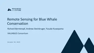 Remote Sensing for Blue Whale Conservation: Enhancing Maritime Policy