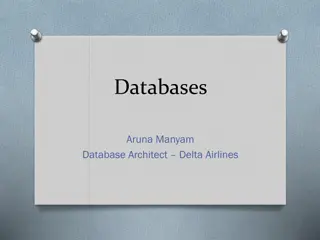 Databases and Information Technology in Delta Airlines