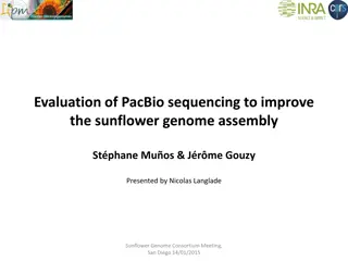 Evaluation of PacBio Sequencing to Improve Sunflower Genome Assembly