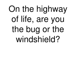 The Dynamics of Collision: Bug vs. Windshield