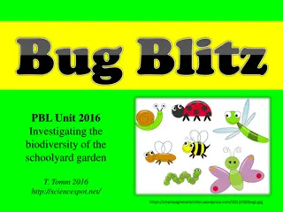 Investigating Biodiversity in the Schoolyard Garden