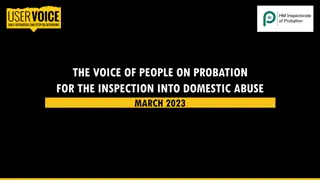 Probation Services in Supporting Perpetrators of Domestic Abuse