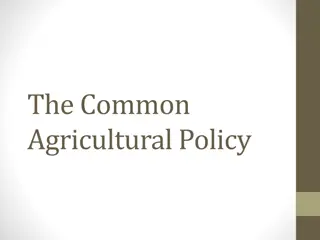 Overview of the Common Agricultural Policy (CAP) in Europe