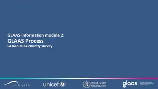 Overview of GLAAS Process at Country Level