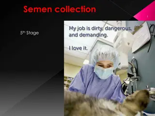 Various Methods of Semen Collection in Animals