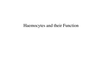 Haemocytes: Types and Functions