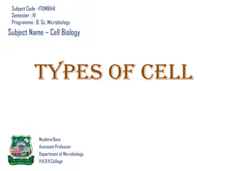 Comparison of Eukaryotic and Prokaryotic Cells in Cell Biology