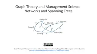 Graph Theory and Networks: Concepts and Applications