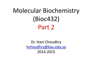 DNA Replication: Models and Process Overview