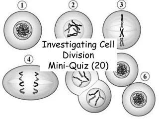 Investigating Cell Division Mini-Quiz - Learn About Cell Biology