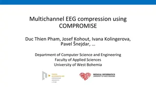 Multichannel EEG Compression Using COMPROMISE Study