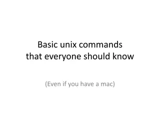 Essential Unix Commands for Beginners