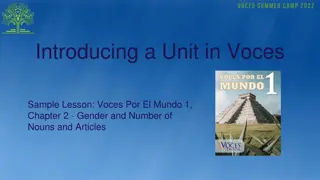 Engaging Lesson Plan for Teaching Noun Gender and Number with Voces