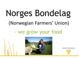 Norwegian Farmers Union: Growing Food for a Better Future