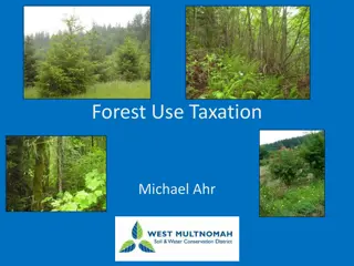 Forest Taxation and Management Guide for Property Owners