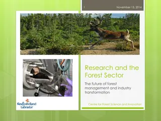 Transforming the Future of Forest Management